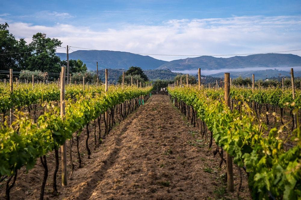 Madre De Agua Hotel Rural De Charme Gouveia  Εξωτερικό φωτογραφία