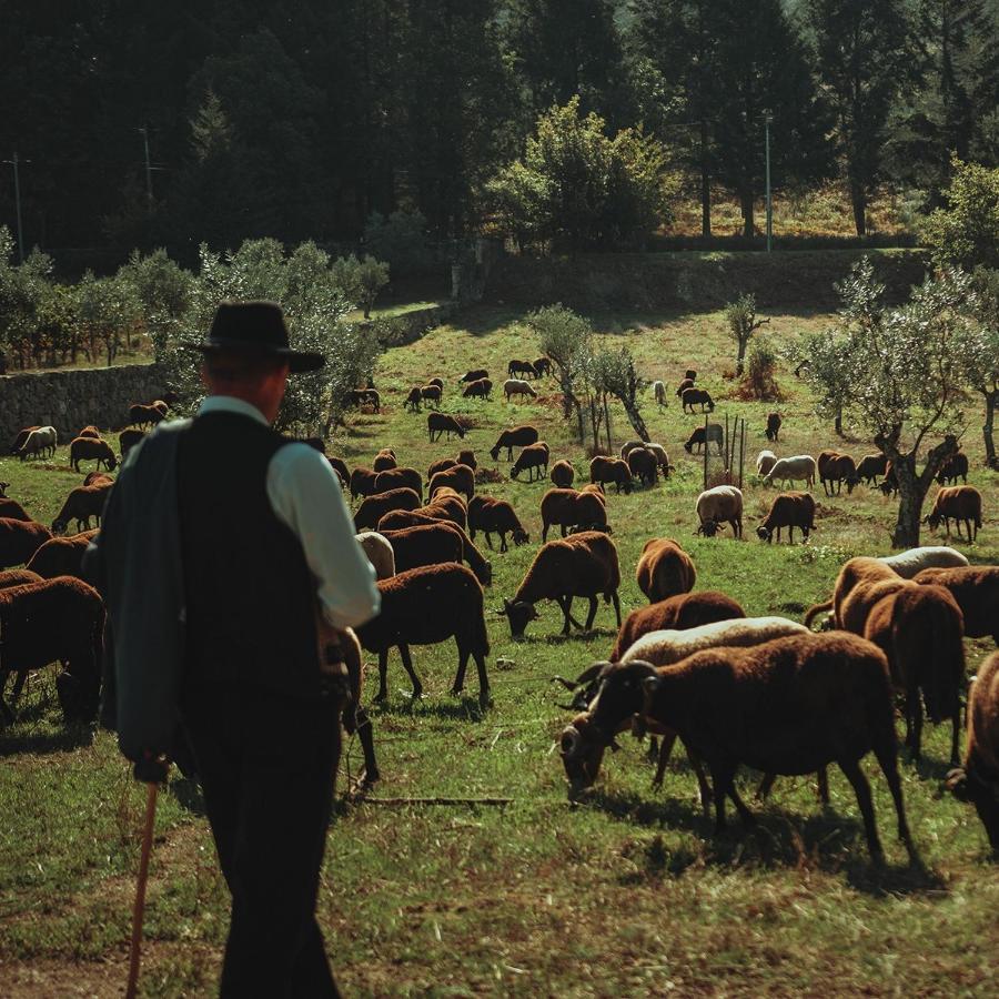 Madre De Agua Hotel Rural De Charme Gouveia  Εξωτερικό φωτογραφία