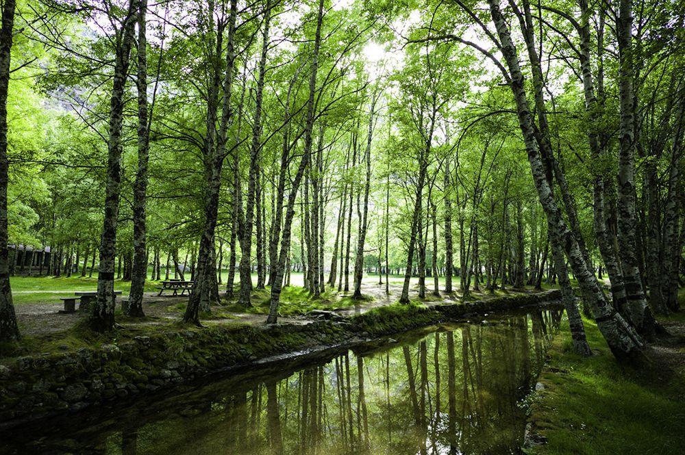 Madre De Agua Hotel Rural De Charme Gouveia  Εξωτερικό φωτογραφία